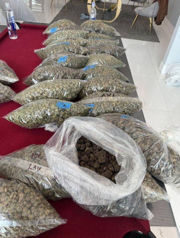 YO I GOT SOME SWEET WEED STRAINS ☘️FOR SALE JUST TEXT MY NUMBER AND LETS DEAL