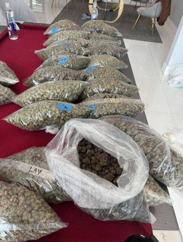YO I GOT SOME SWEET WEED STRAINS ☘️FOR SALE JUST TEXT MY NUMBER AND LETS DEAL